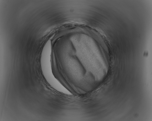 X0000091961110200710041023