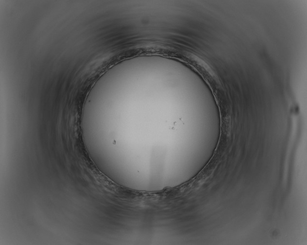 X0000091961111200710041023
