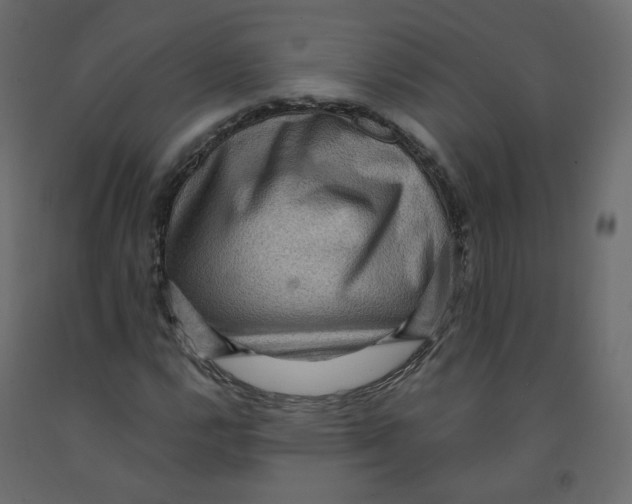 X0000091961112200710041023