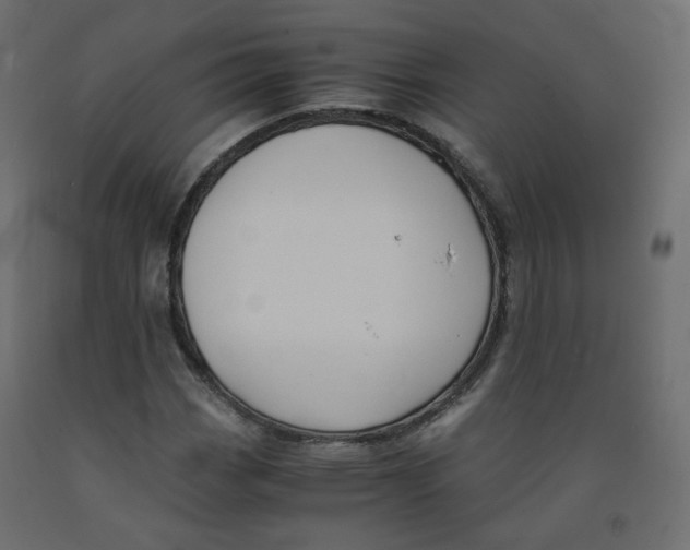 X0000091961113200710041023