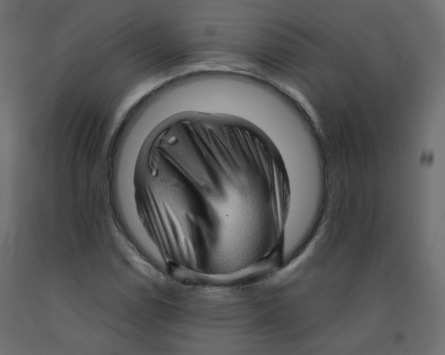 X0000091961114200710041023