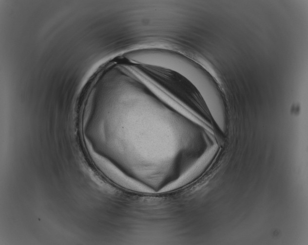 X0000091961116200710041023