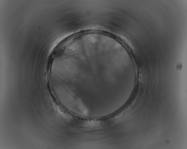 X0000091961117200710041023