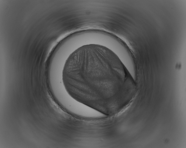 X0000091961118200710041023
