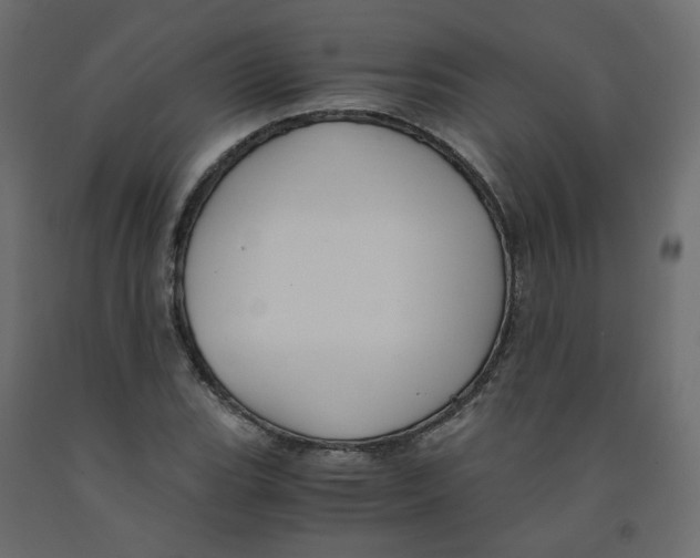 X0000091961119200710041023