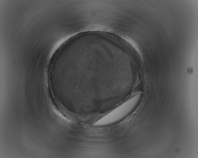 X0000091961120200710041023