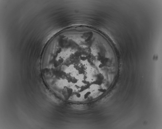 X0000091961121200710041023