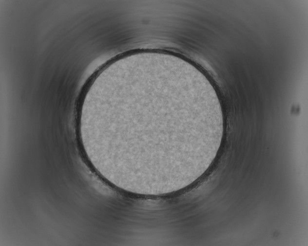 X0000091961122200710041023