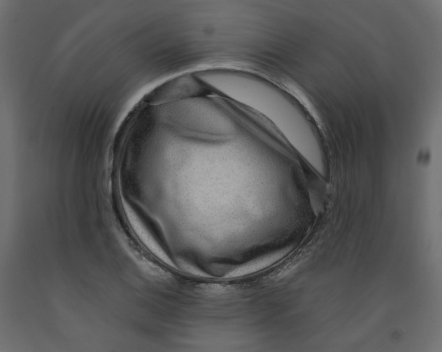 X0000091961124200710041023