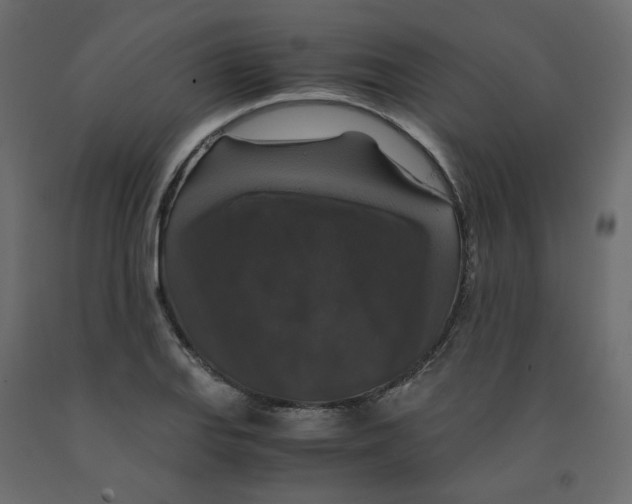 X0000091961127200710041023