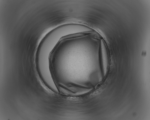 X0000091961128200710041023