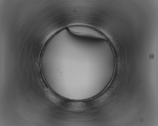 X0000091961129200710041023