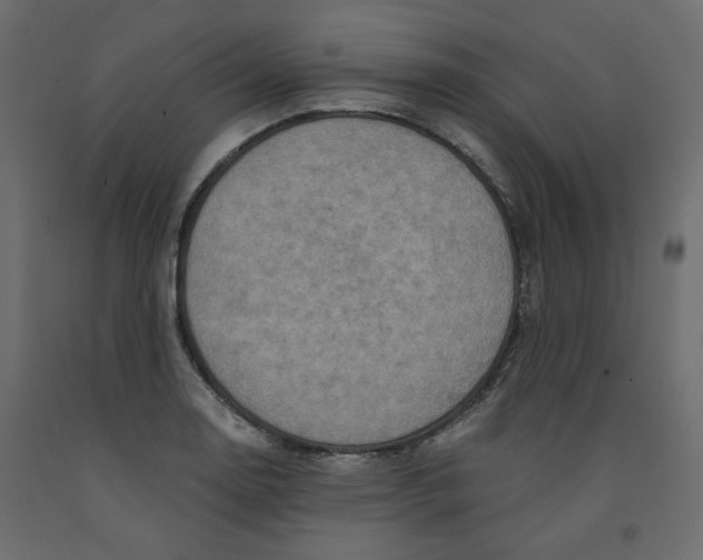 X0000091961130200710041023