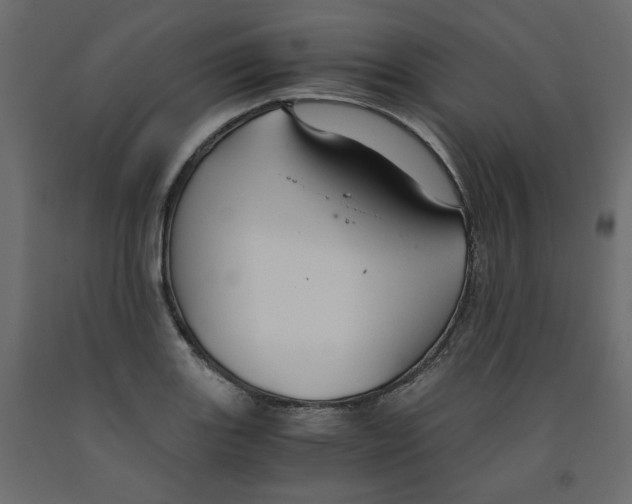 X0000091961131200710041023