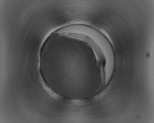 X0000091961132200710041023