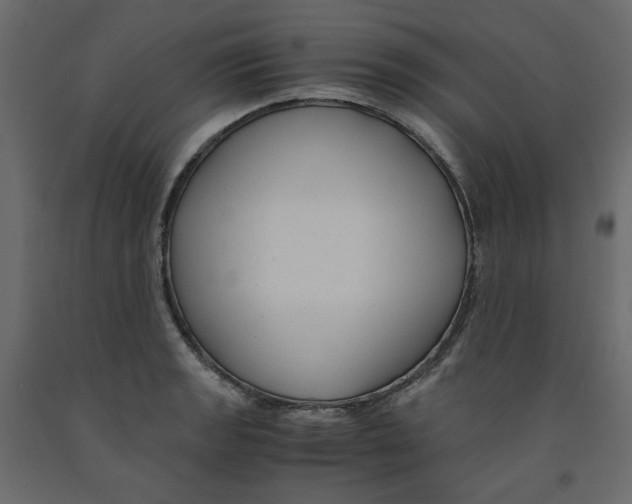 X0000091961133200710041023