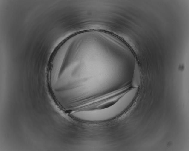 X0000091961134200710041023