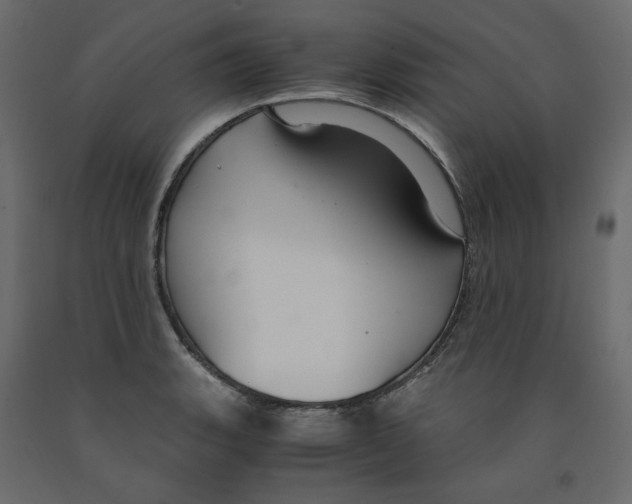 X0000091961135200710041023