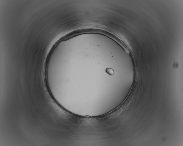 X0000091961136200710041023
