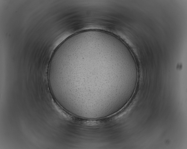 X0000091961137200710041023