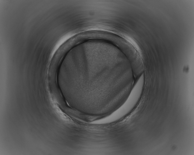 X0000091961138200710041023