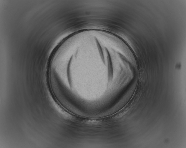 X0000091961139200710041023