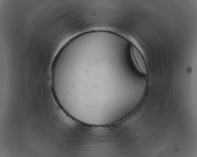 X0000091961140200710041023