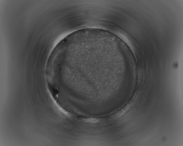 X0000091961141200710041023