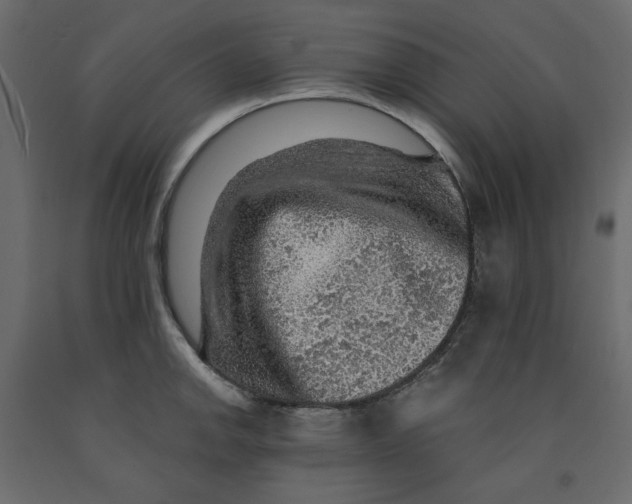 X0000091961142200710041023