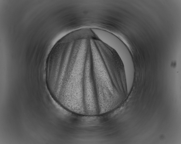 X0000091961143200710041023
