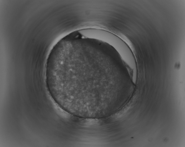 X0000091961144200710041023