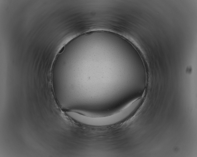 X0000091961145200710041023