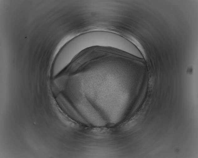 X0000091961146200710041023