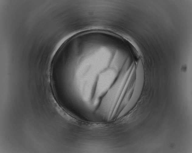 X0000091961148200710041023