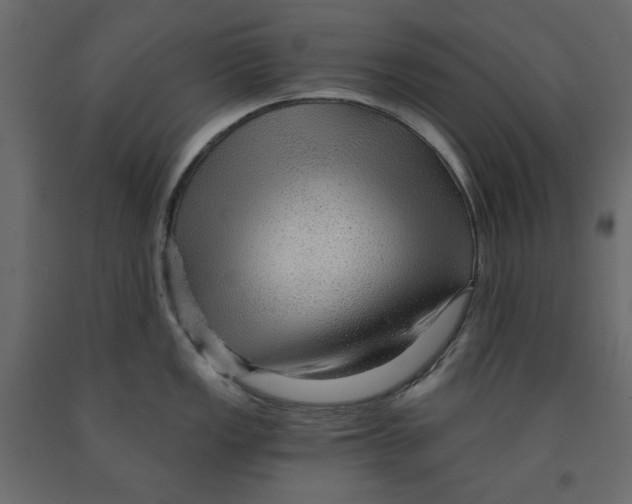 X0000091961149200710041023