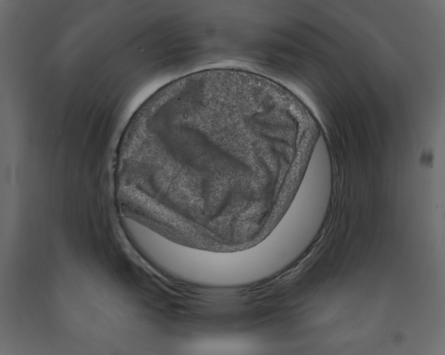 X0000091961151200710041023