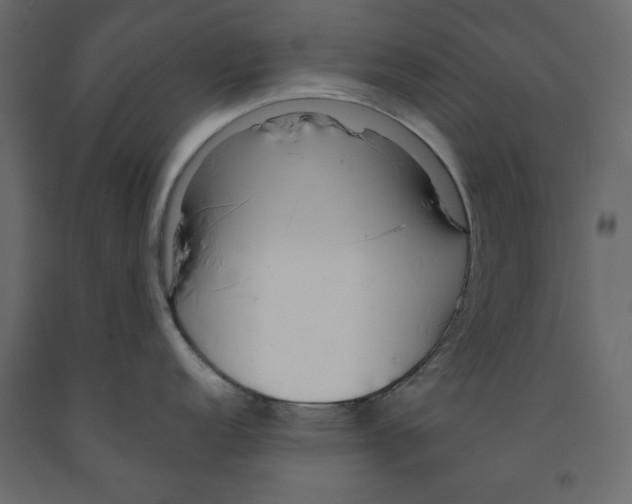 X0000091961152200710041023