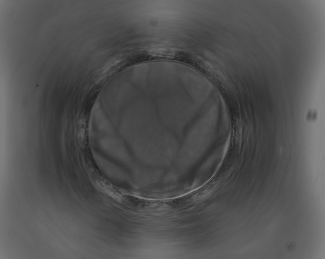 X0000091961154200710041022