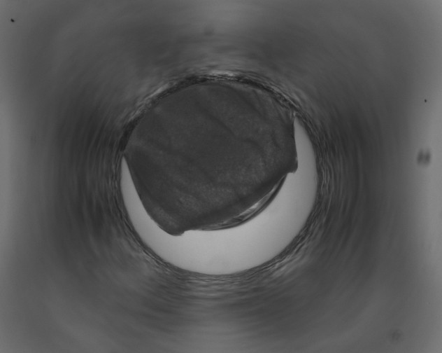 X0000091961156200710041022