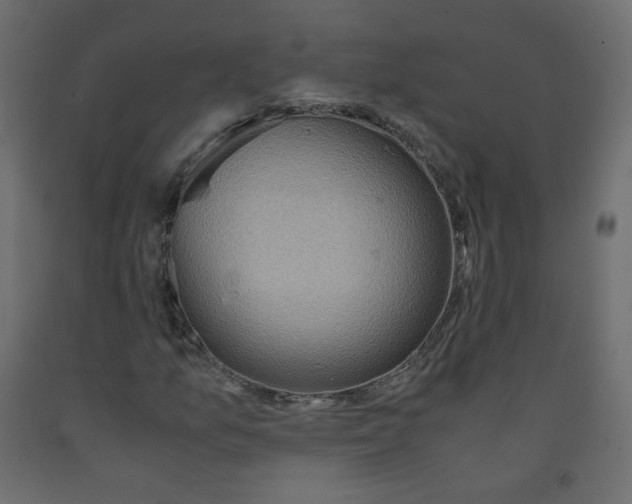 X0000091961157200710041022
