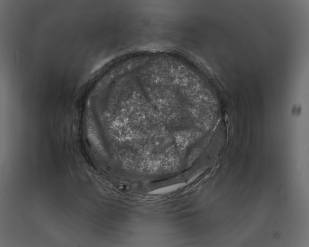 X0000091961158200710041022