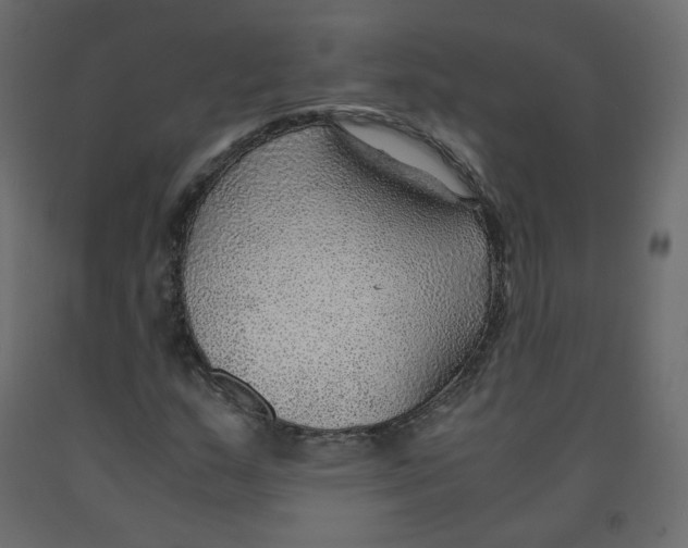 X0000091961159200710041022