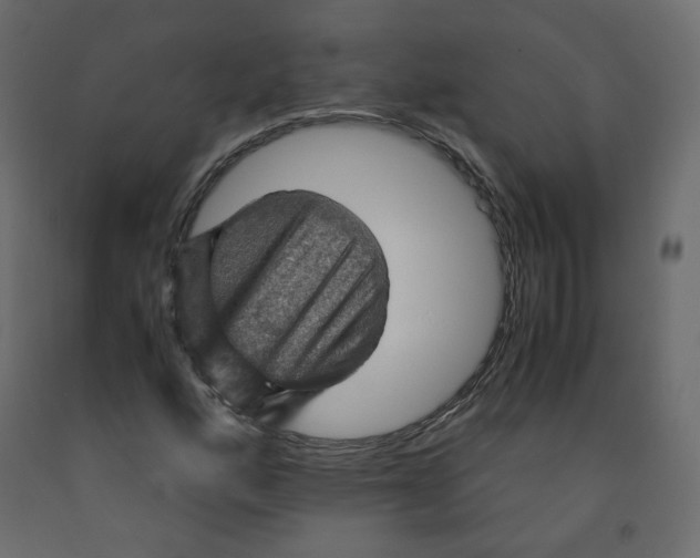 X0000091961160200710041022