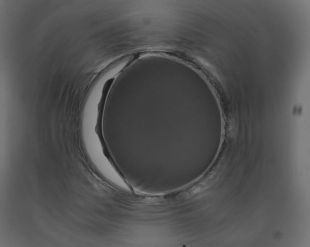 X0000091961161200710041022