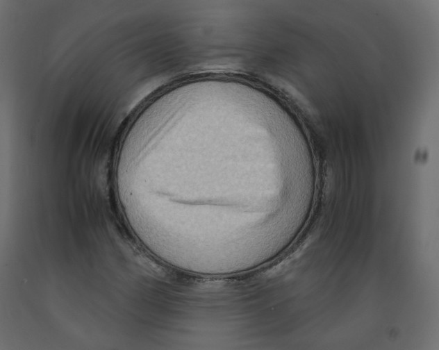 X0000091961162200710041022