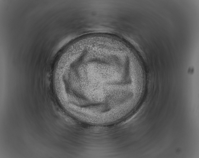 X0000091961163200710041022