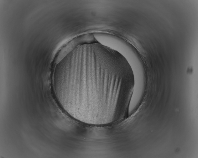 X0000091961164200710041022