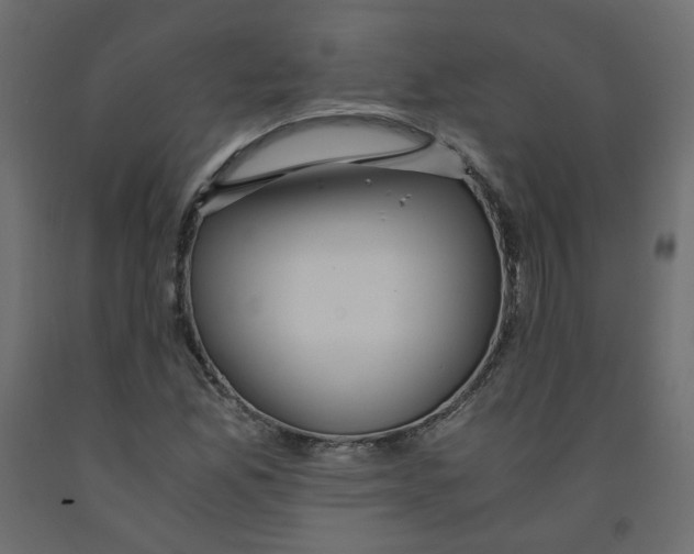 X0000091961165200710041022