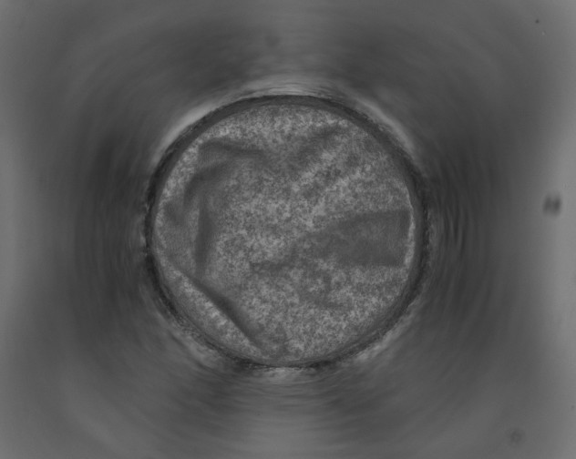 X0000091961166200710041022