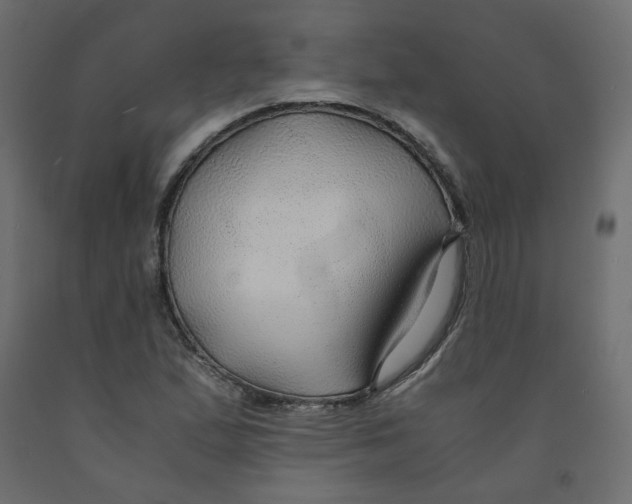 X0000091961167200710041022